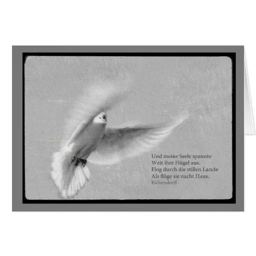 Tarjeta de luto paloma blanca Y mi alma | Zazzle Tarjeta de luto paloma blanca Y mi alma | Zazzle