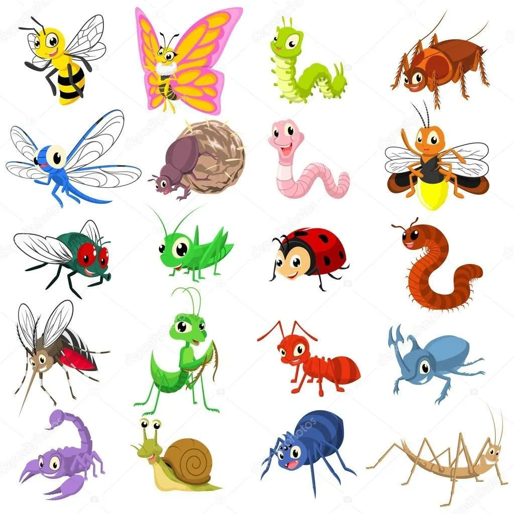 Imagen relacionada | Imagenes de insectos, Insectos animados, Dibujos