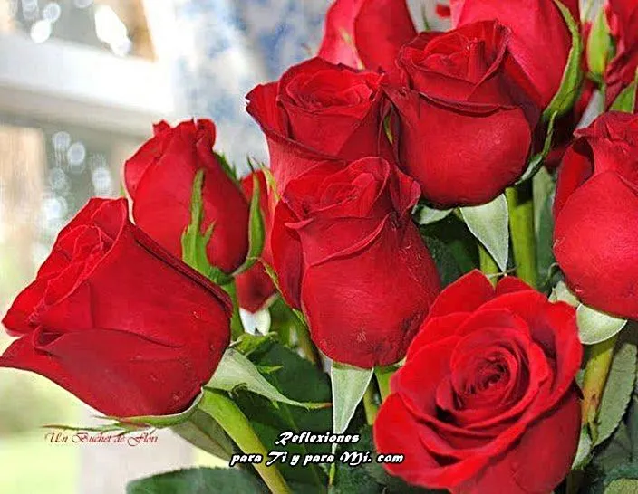 Buenos Deseos para TI y para MÍ: * Bellas Rosas Rojas Buenos Deseos para TI y para MÍ: * Bellas Rosas Rojas