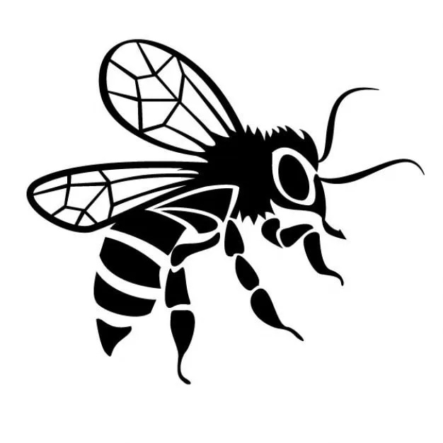 Imagen vectorial dibujo de la abeja negro | Descargar Vectores gratis