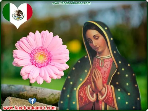 IMAGEN DE VIRGEN DE GUADALUPE PARA FACEBOOK - Imágenes Bonitas ...