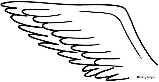 Dibujo de alas para colorear - Imagui