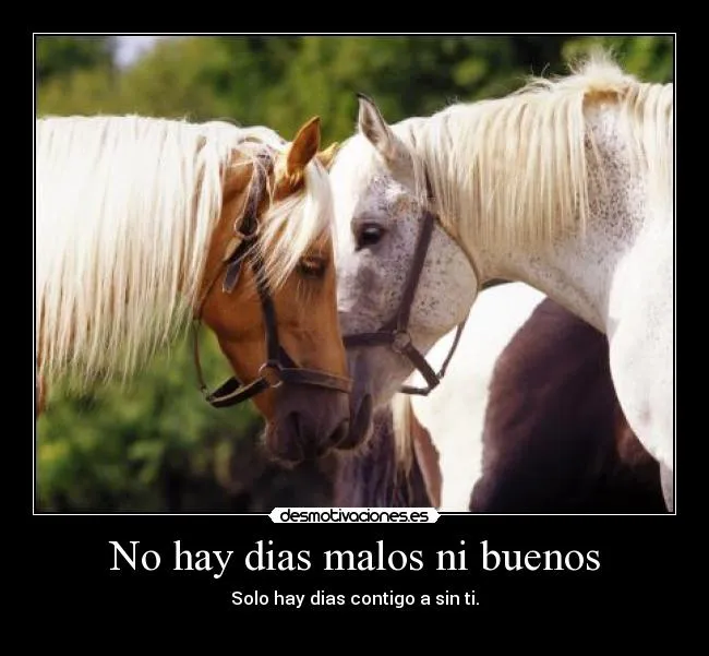 Imagenes de amor con caballos - Imagui