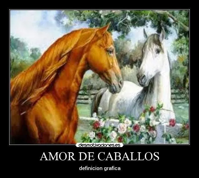 Imagenes d caballos con frases d amor - Imagui