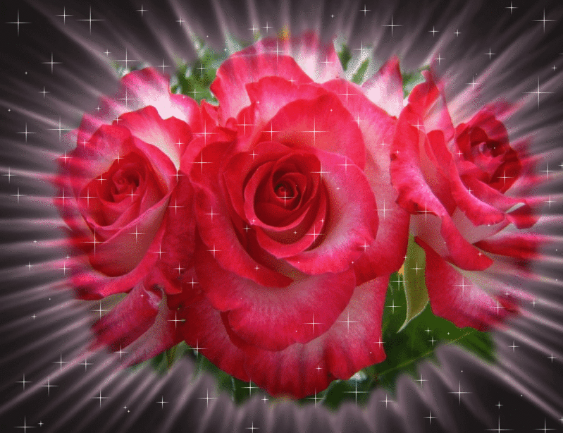 Imágenes de amor lindas para facebook: Imágenes de flores animadas ...