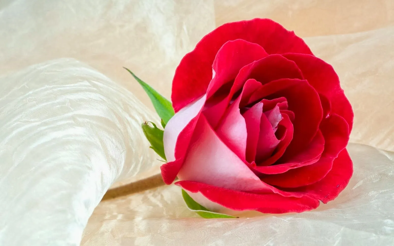 ver imagenes de amor online desmotivaciones con frases poemas ... ver imagenes de amor online desmotivaciones con frases poemas ...
