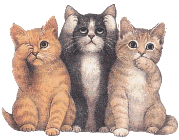 Imágenes animadas de gatitos | Imagenes Tiernas - Imagenes de Amor