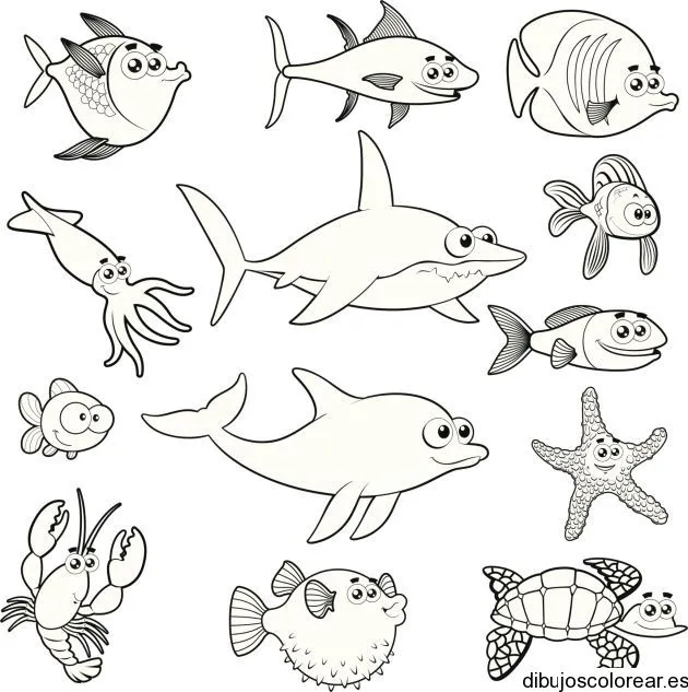 Dibujo de un grupo de animales marinos | Dibujos para Colorear