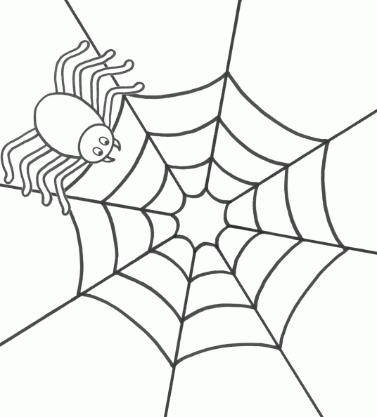 Dibujo para colorear de araña - Imagui