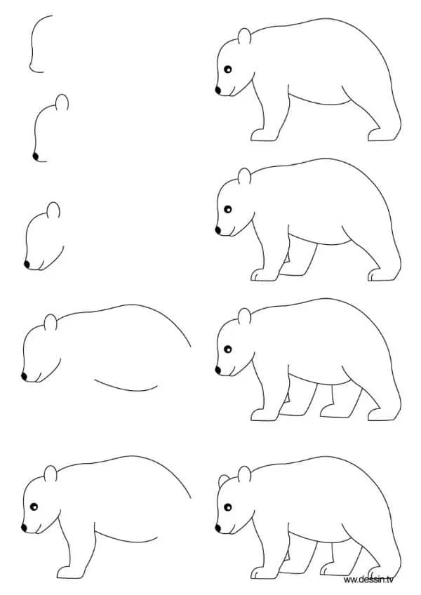 4 imagenes de animales para dibujar y aportar conocimiento