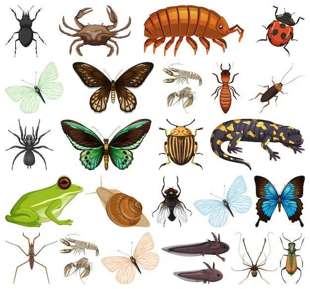 Imágenes de Animales Invertebrados - Descarga gratuita en Freepik