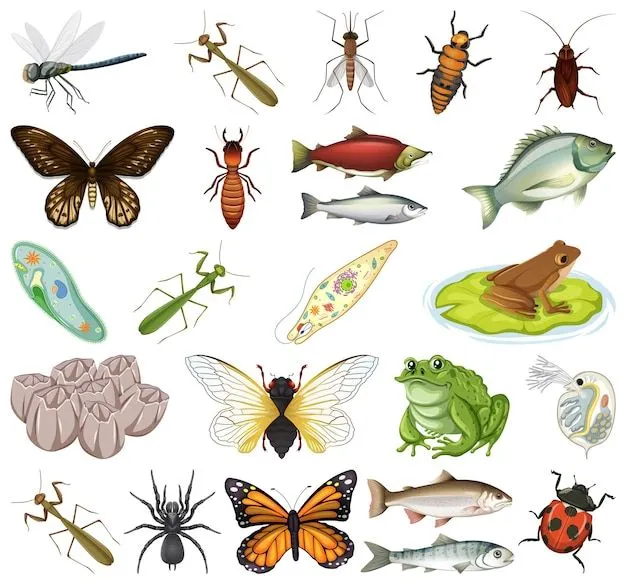 Imágenes de Animales Invertebrados - Descarga gratuita en Freepik