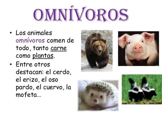Todas las imágenes de animales omnivoros - Imagui