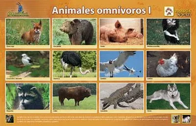 Imagenes de animales omnivoros para imprimir - Imagui