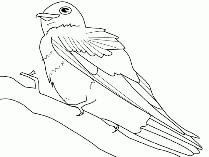 Dibujos del turpial ave para colorear - Imagui