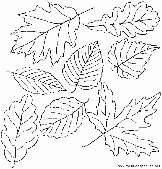 Dibujos con hojas secas - Imagui