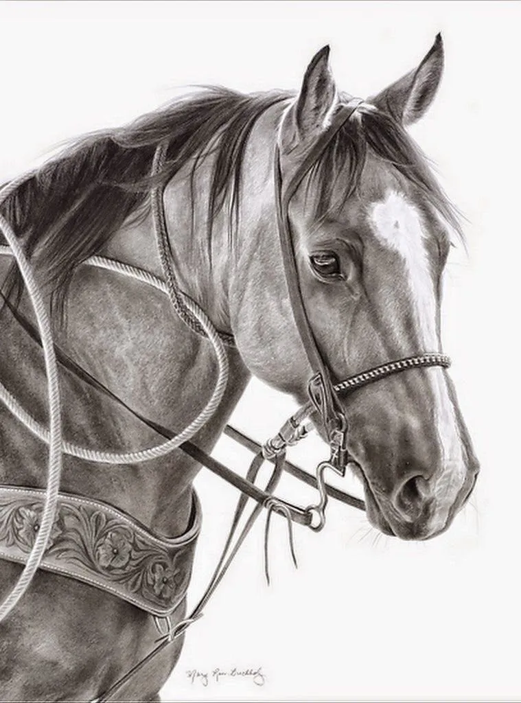 Imágenes Arte Pinturas: Dibujos de Caras o Cabezas de Caballos a Lápiz Imágenes Arte Pinturas: Dibujos de Caras o Cabezas de Caballos a Lápiz