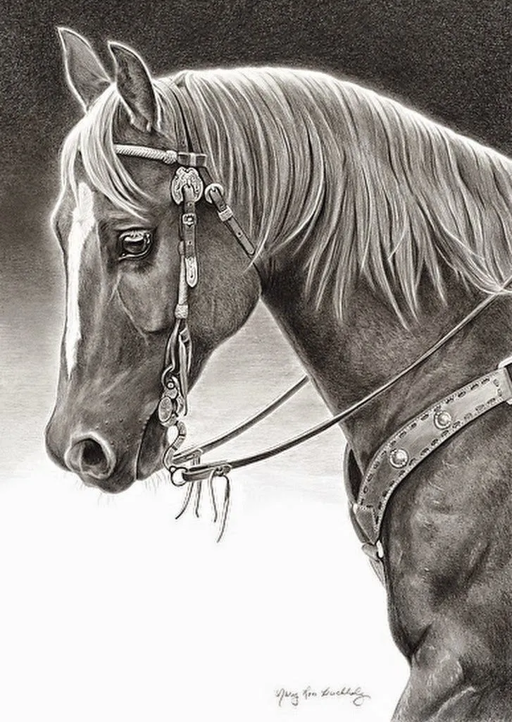 Imágenes Arte Pinturas: Dibujos de Caras o Cabezas de Caballos a Lápiz Imágenes Arte Pinturas: Dibujos de Caras o Cabezas de Caballos a Lápiz