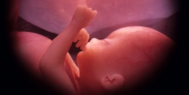Imagenes de bebés de 8 meses en el vientre - Imagui