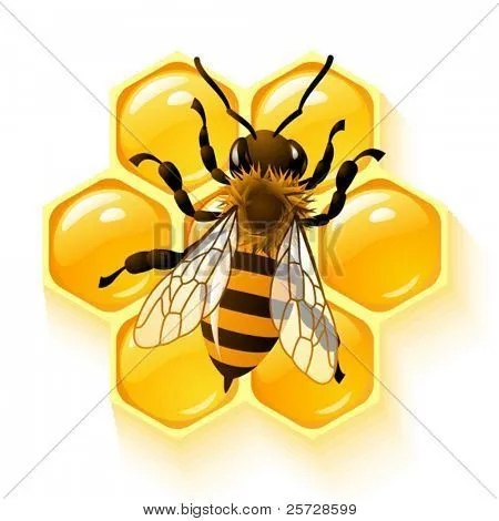 Imágenes de Bee Hive, fotos stock e ilustraciones | Bigstock