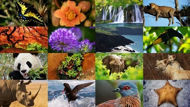Imagenes de la biodiversidad animadas - Imagui