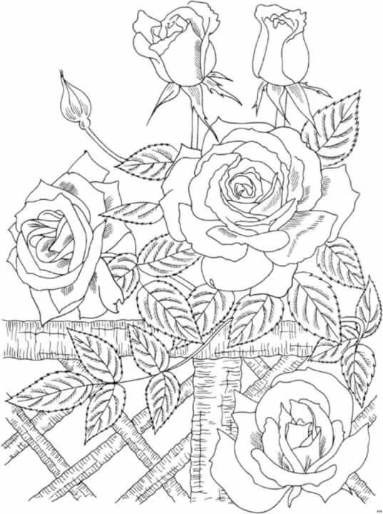 Dibujos de Rosas para calcar bordados, Dibujos para Pintar