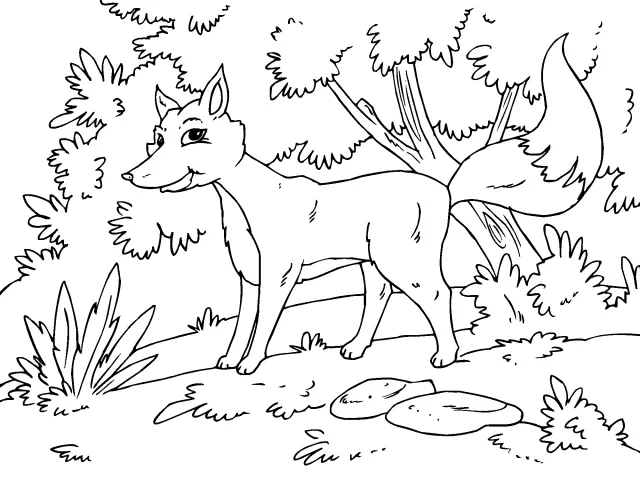 Lobo del bosque para colorear - Imagui