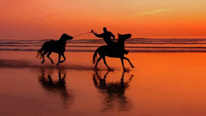 Imagenes de caballo en la playa - Imagui