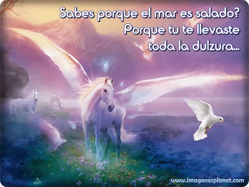 Imágenes de amor con caballos para imprimir ~ Imagenes lindas de amor