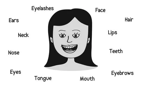 English: Basic vocabulary. Emociones y partes de la cara ...