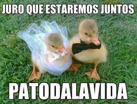 imagenes cariñosas y tiernas, imagenes tiernas: Sarco imagenes ... imagenes cariñosas y tiernas, imagenes tiernas: Sarco imagenes ...