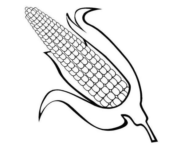 Pinto Dibujos: Mazorca de maíz para colorear