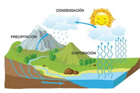 imágenes del ciclo hidrologico del agua para colorear e imprimir ...