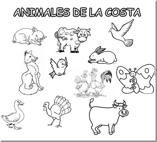 Dibujos para colorear de 3 animales de la costa - Imagui