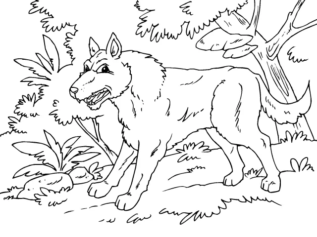 Imagenes de lobos del bosque para colorear - Imagui