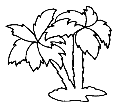 Imagenes para colorear: Imagen de palmeras para colorear Imagenes para colorear: Imagen de palmeras para colorear
