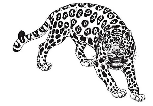 Imagenes para colorear de un jaguar - Imagui