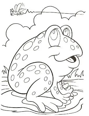 ... : Ranita en un estanque viendo pasar moscas en un dibujo sin color ... : Ranita en un estanque viendo pasar moscas en un dibujo sin color