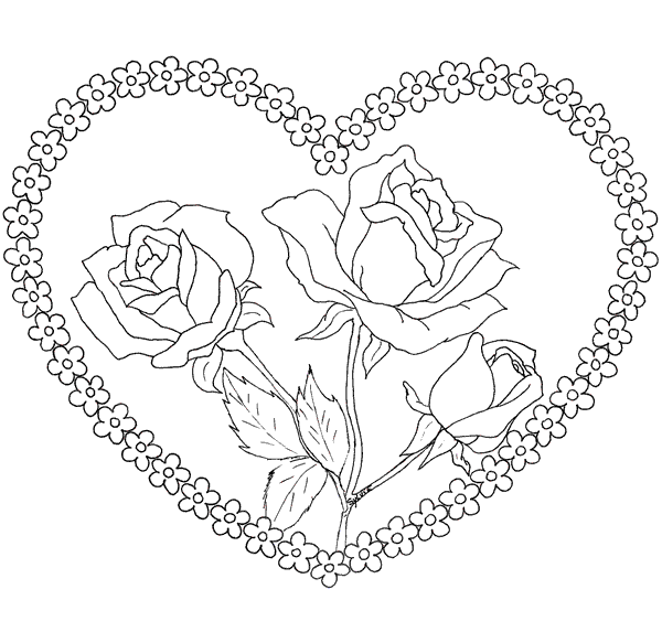 Dibujos de rosas hechos a lapiz - Imagui
