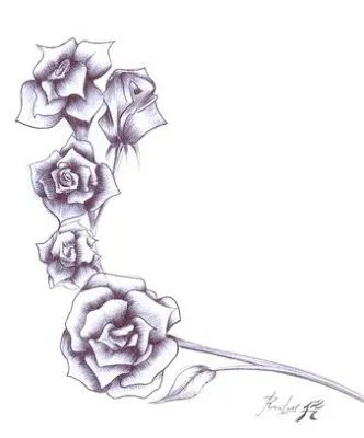 Rosas para dibujar - Imagui