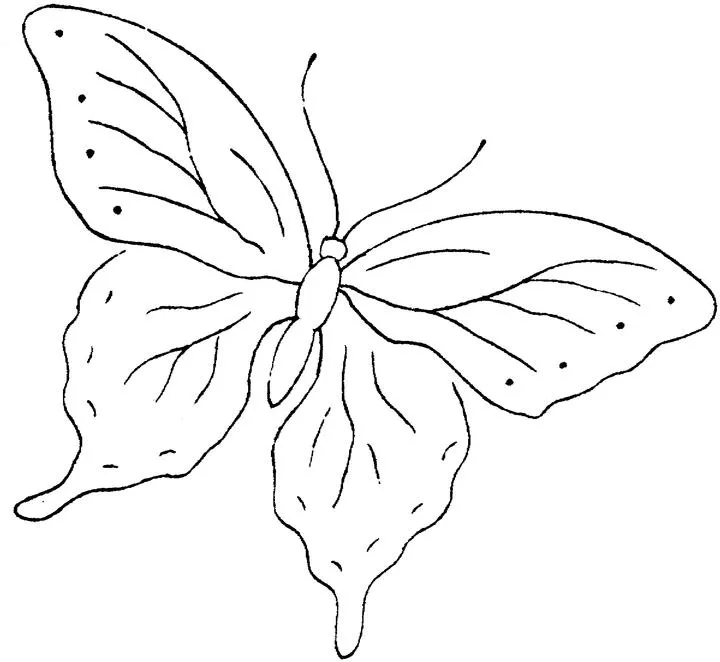 Mariposa linda para colorear - Imagui