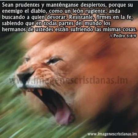 imagenes cristianas leon rugiente.jpg - Imagenes Cristianas ...