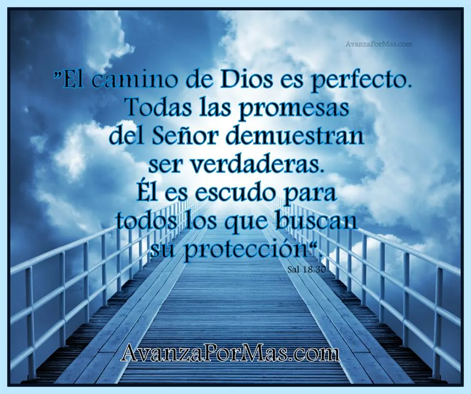IMAGEN) "El camino de Dios es perfecto. Todas las promesas del ...