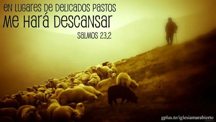 textos biblico on Pinterest | Dios, Paisajes and Biblia