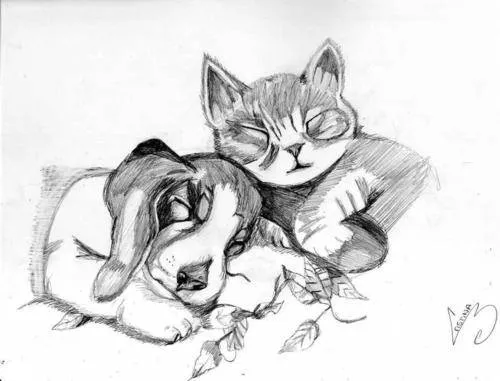 Dibujos de perros y gatos a lapiz - Imagui