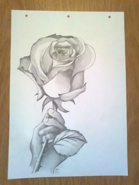 Dibujo de rosas con espinas a lapiz - Imagui