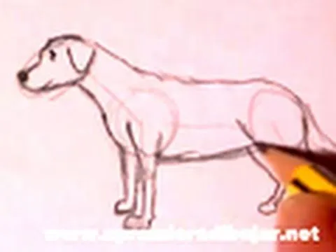 Imagenes de dibujos chidos de perros a lapiz - Imagui Imagenes de dibujos chidos de perros a lapiz - Imagui