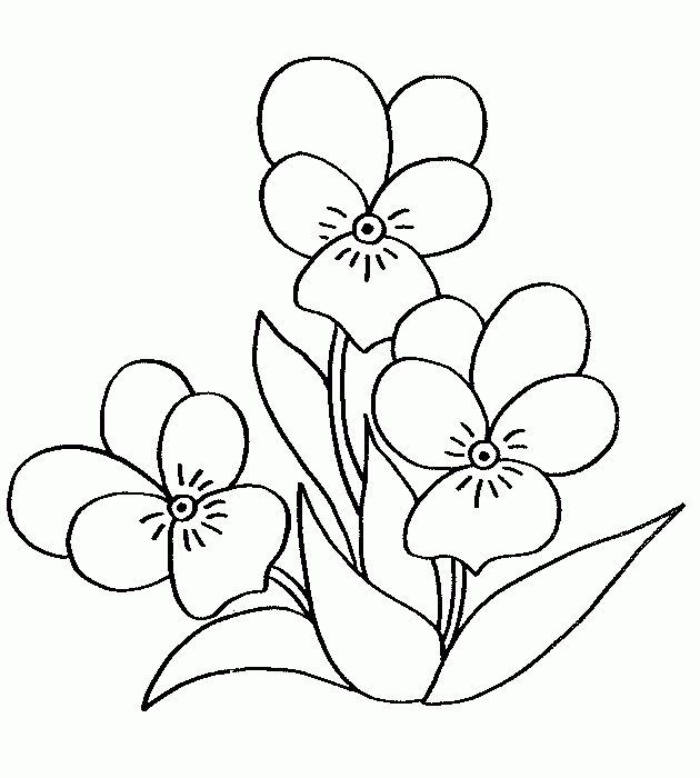 Imagenes de dibujos de flores para colorear | Imagenes