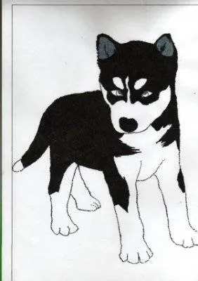 Cachorro Husky Cristina Gaspar Samaniego- Artelista.com Cachorro Husky Cristina Gaspar Samaniego- Artelista.com