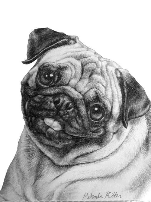 Imagenes De Dibujos De Perros | Imagenes de Perros Bonitos ... Imagenes De Dibujos De Perros | Imagenes de Perros Bonitos ...